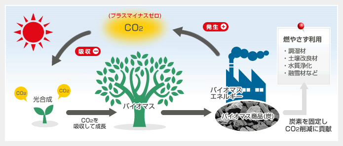 スキズ チェックイン qrコード どこ